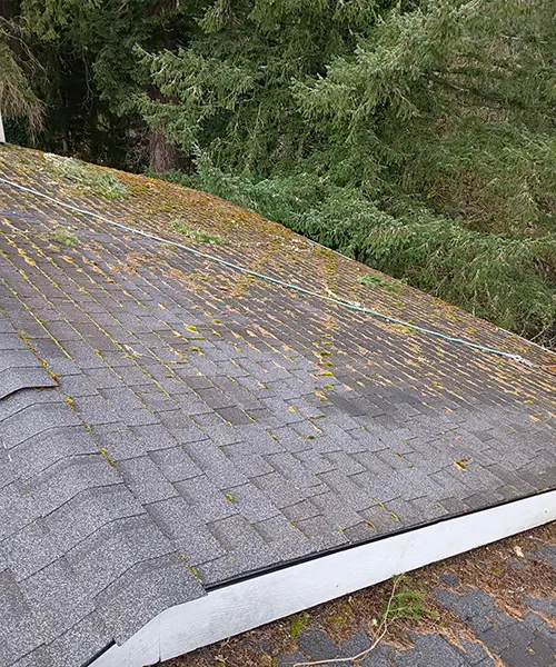 Roof Cleaning in Centralia 